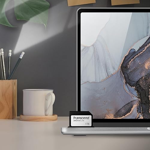 Transcend Information 256GB Jet Drive Lite 330 Storage Expansion Card for 13-Inch MacBook Pro (TS256GJDL330), Black/Silver