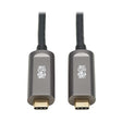 Tripp Lite USB-C Fiber (10 Gbps) Data Cable, USB 3.2 Active Optical Cable, Male to Male, Black, Plenum-Rated for in Wall & Ceiling Installations, 98 Feet / 30 Meters, 3-Year Warranty (U420F-30M-D3)