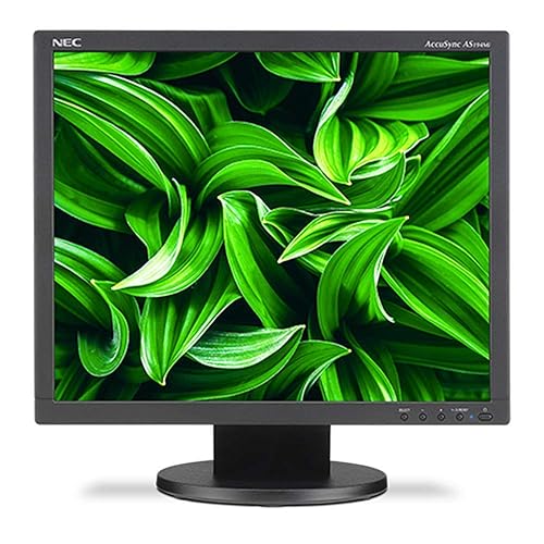 NEC 19" Value Desktop Monitor with LED Backlighting, Black (AS194MI-BK)