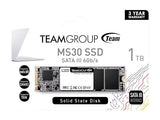 Team Group MS30 M.2 1000 GB Serial ATA III