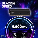 Crucial Pro 48GB Modul DDR5 5600MHz, CL46, CP48G56C46U5