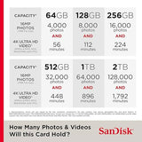 SanDisk Extreme 256 GB Class 3/UHS-I (U3) SDXC