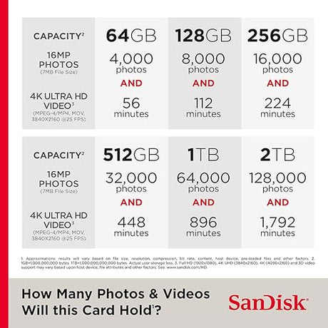 SanDisk Extreme 256 GB Class 3/UHS-I (U3) SDXC