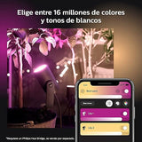 Philips Hue Lily White & Color Outdoor Spot Light Base kit (Hue Hub required), 3 Spot Lights with power supply + mount, Works with Alexa, HomeKit & Google Assistant
