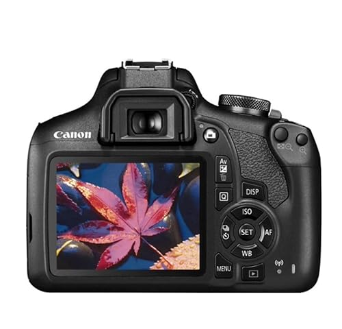 Canon EOS Rebel T7 DSLR Camera|2 Lens Kit with EF18-55mm + EF 75-300mm Lens, Black Body w/18-55mm & 75-300mm Lenses Base