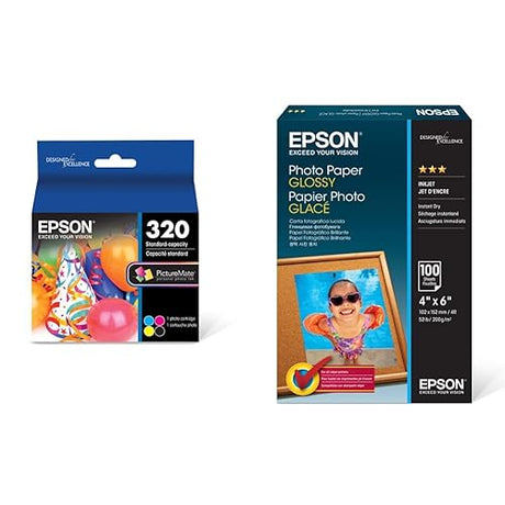 Epson T320, Ink Cartridge for Picture Mate 400 Series & S042038 Photo Paper Glossy, 4x6 Size, (100 Sheets) Ink Single Ink Cartridge + S042038 Photo Paper Glossy