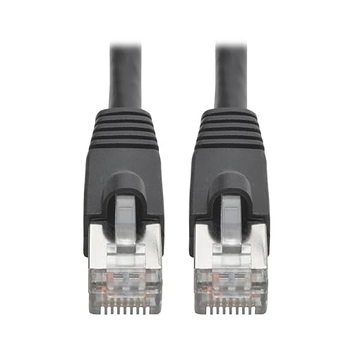 Tripp Lite Cat6a Snagless Shielded STP Patch Cable 10G-Certified, PoE, Black M/M 10ft 10' (N262-010-BK) Black 10 Feet STP