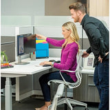 Fellowes PrivaScreen Privacy Filter for 24.0 Inch Widescreen Monitors 16:10 (4801601), Black