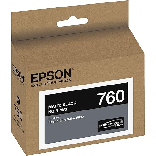 Epson T760820 760, Matte Black Ink Cartridge