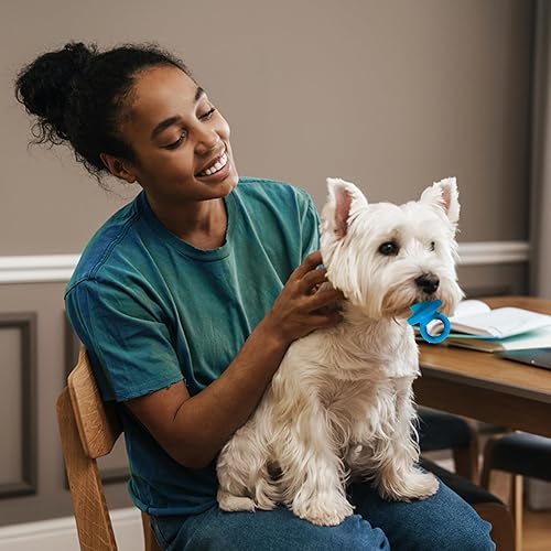 Ethical Puppy Pacifier 4-Inch Latex Dog Toy, Colors May Vary