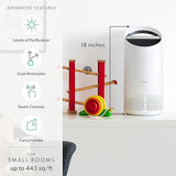 TruSens Air Purifier with UV-C Light + HEPA Filtration | Small | Portable Handle | Simple Touch | Speed Control | Whisper Mode | 250 sq ft. Room Coverage | White