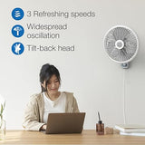 Lasko M16900 Oscillating 16 inch Wall Mount Fan for Indoor Use, Light Grey