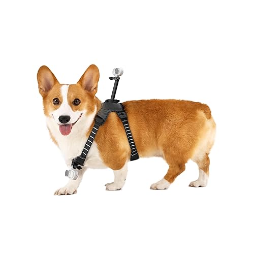 Insta360 GO 3S Pet Harness Mount Size S