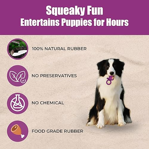 Ethical Puppy Pacifier 4-Inch Latex Dog Toy, Colors May Vary