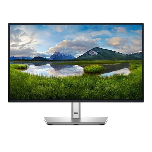 Dell 22 Monitor P2225H