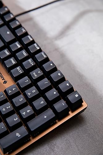 Cherry KC 200 MX Mechanical Office Keyboard with New MX2A switches. Modern Design with Metal Plate Frame. (Bronze W/MX2A Brown Switch)
