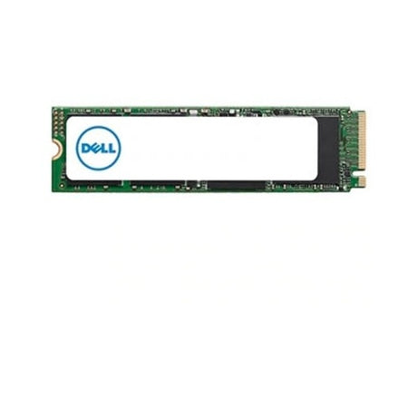 Dell 1 TB Solid State Drive – M.2 2280 Internal – SATA