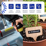 Brother Genuine TZe-651 Black on Yellow Laminated Tape for TZe-Compatible P-Touch Label Makers, 24 mm Wide x 8 m Long