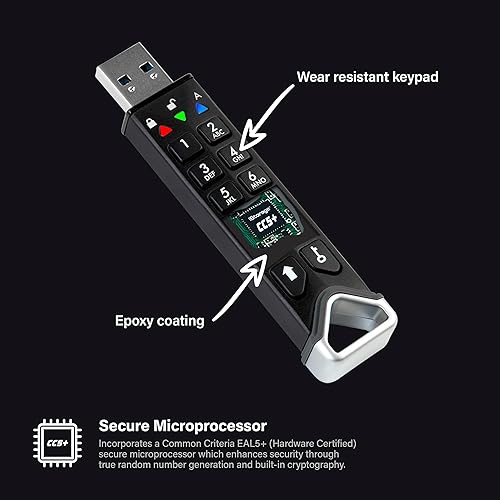 iStorage datAshur PRO2 - Secure Encrypted Flash Drive (64GB), Black (IS-FL-DP2-256-64) Black 64GB