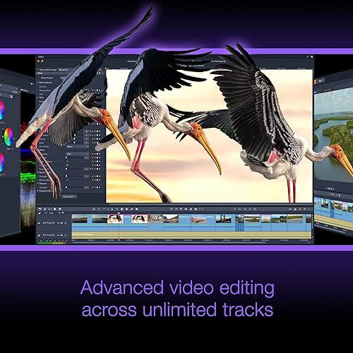 Pinnacle Studio 26 - Value-Packed Video Editing & Screen Recording Software [PC Key Card] Ultimate