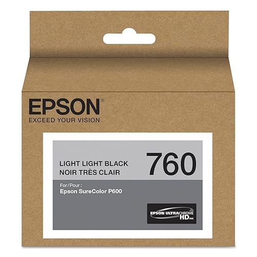Epson T760920 760, Light Black Ink Cartridge