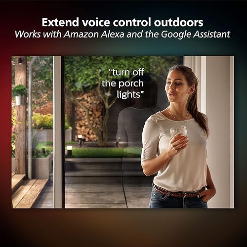 Philips Hue White & Color Ambiance Appear Outdoor Wall Light Fixture, Outdoor Lights, Wall Lantern (Hue Hub Required, Works with Alexa, Apple Homekit & Google Assistant), Black