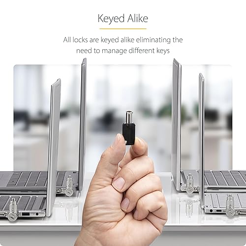 StarTech.com 25-Pack Universal Laptop Lock 6.6ft (2m), Keyed Alike Security Cable, Compatible with Noble Wedge/Nano/K-Slot Adjustable Like Keyed