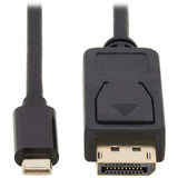 Tripp Lite Pro Av USB-C To DisplayPort Bi-Directional Adapter Cable, 4K