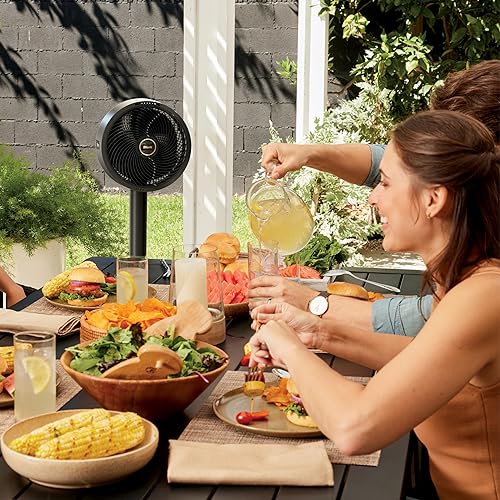 Shark FlexBreeze Outdoor & Indoor Fan with InstaCool Misting attachment, Cordless & Corded, from pedestal to tabletop. Portable, 24-hour runtime, quiet, powerful, 70ft Range, FA222C (Canadian Version)