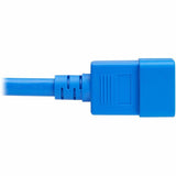 Eaton Tripp Lite Series Power Cord, C20 to C21 - Heavy-Duty, 20A, 250V, 12 AWG, 3 ft. (0.9 m), Blue