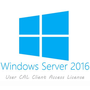 Microsoft Windows Server 2016 - License - 5 Device CAL