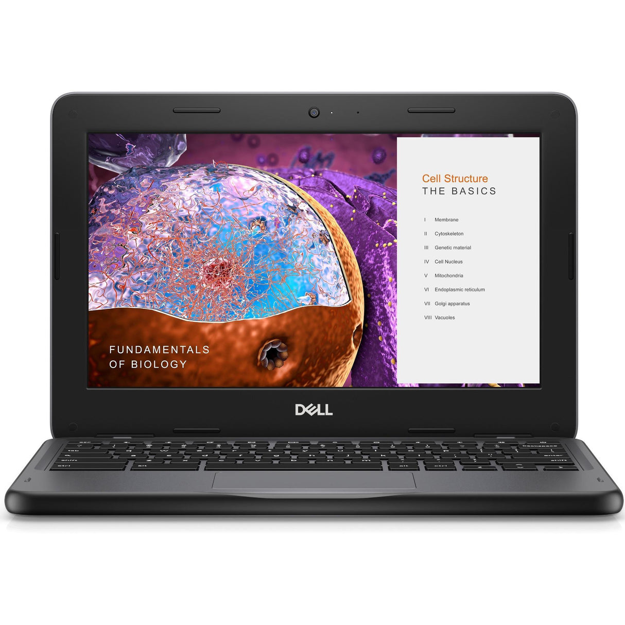 Dell Education Chromebook 3000 3110 11.6 Touchscreen Chromebook - HD - 1366 x 768 - Intel Celeron N4500 Dual-core (2 Core) 1.10 GHz - 4 GB Total RAM - 32 GB Flash Memory - Intel Chip - Chrome OS