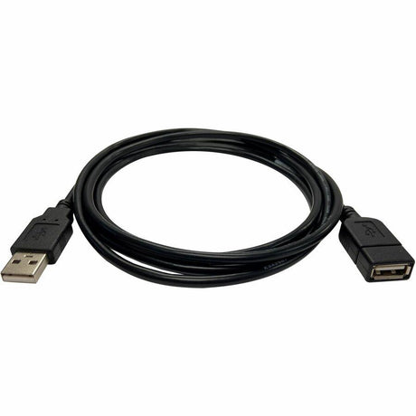 Black Box USB 2.0 Extension Cable Type-A Male/Female Black
