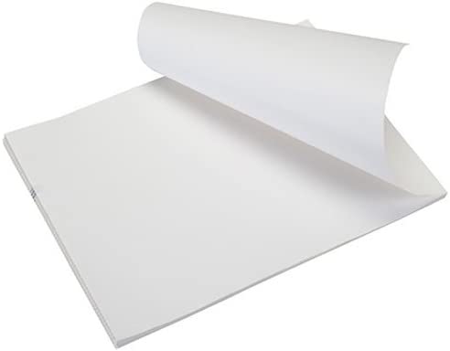 Pentax Fanfold Perforated Paper 1000 Sheets (205494)