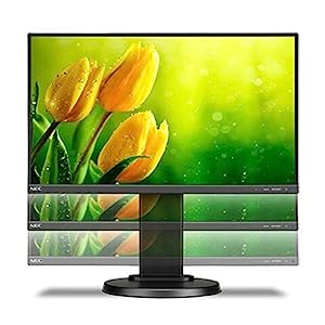 NEC Display MultiSync E221N-BK 22" LED LCD Monitor - 16:9-6 ms