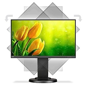 NEC Display MultiSync E221N-BK 22" LED LCD Monitor - 16:9-6 ms