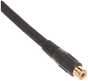 C2g/ cables to go C2G Value Series One RCA Female to Two RCA Male Y-Cable, Black (6 Inches) - 03181 RCA Female to RCA Male 0.5 Feet Black