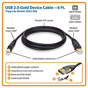Tripp Lite USB 2.0 High-Speed Cable, Type-A to Type-B (M/M), 6-ft. (U022-006) 6 ft.