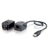 C2g/ cables to go C2G 29341 USB 1.1 Over Cat5 SuperBooster USB Extender Dongle Kit, Black USB 1.1 Superbooster Kit (NEW Version)