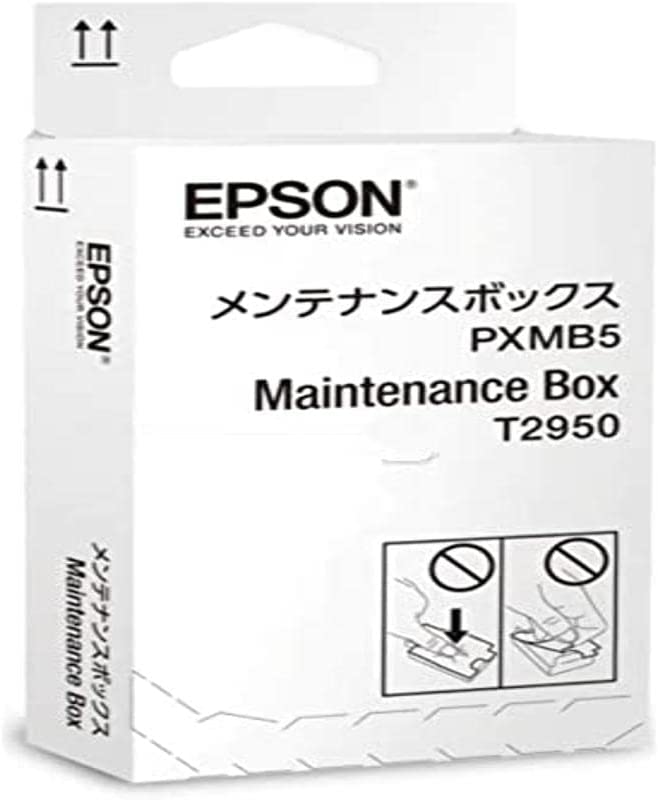 Epson Ink Maintenance Box for Workforce WF-100