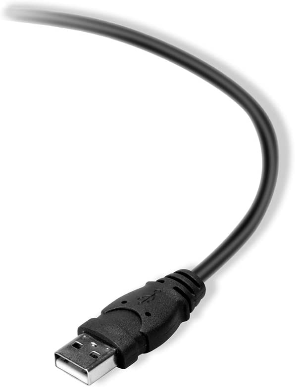 Belkin Premium Printer Cables Cable10 Ft4 Pin USB Type B to 4 Pin USB Type A, Black (F3U154BT3M)