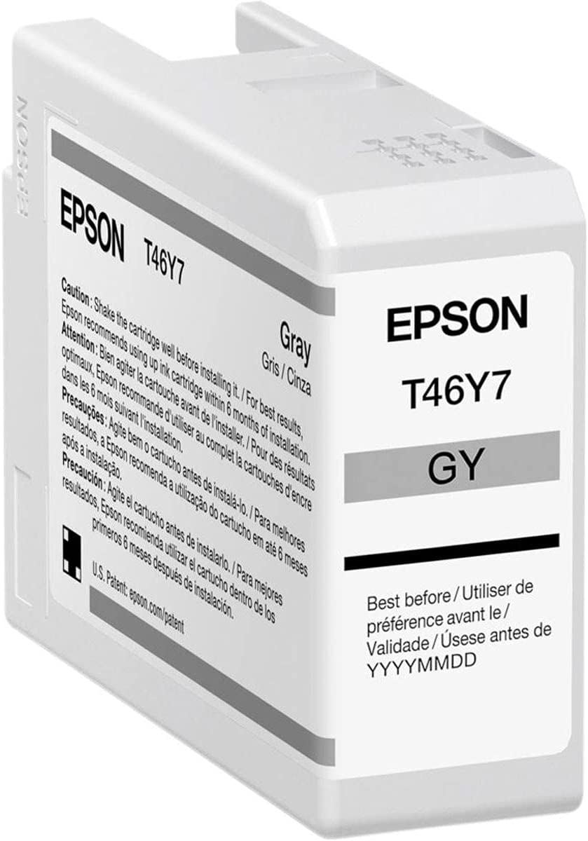 Epson Ultrachrome PRO10 -Ink - Gray (T46Y700), Standard