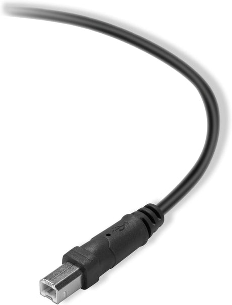 Belkin Premium Printer Cables Cable10 Ft4 Pin USB Type B to 4 Pin USB Type A, Black (F3U154BT3M)