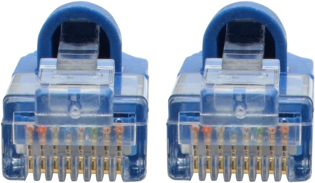 Tripp Lite Cat6a 10G Ethernet Cable, Snagless Molded Slim UTP Network Patch Cable (RJ45 M/M), Black, 1 Foot / 0.3 Meters, Manufacturer's Warranty (N261-S01-BK) Blue 1 Foot UTP / Slim