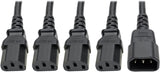 Tripp Lite P004-18N-4XC13 Y Splitter Computer Power Cord 10A 18AWG C14 to 4xC13 Black 18in 18"