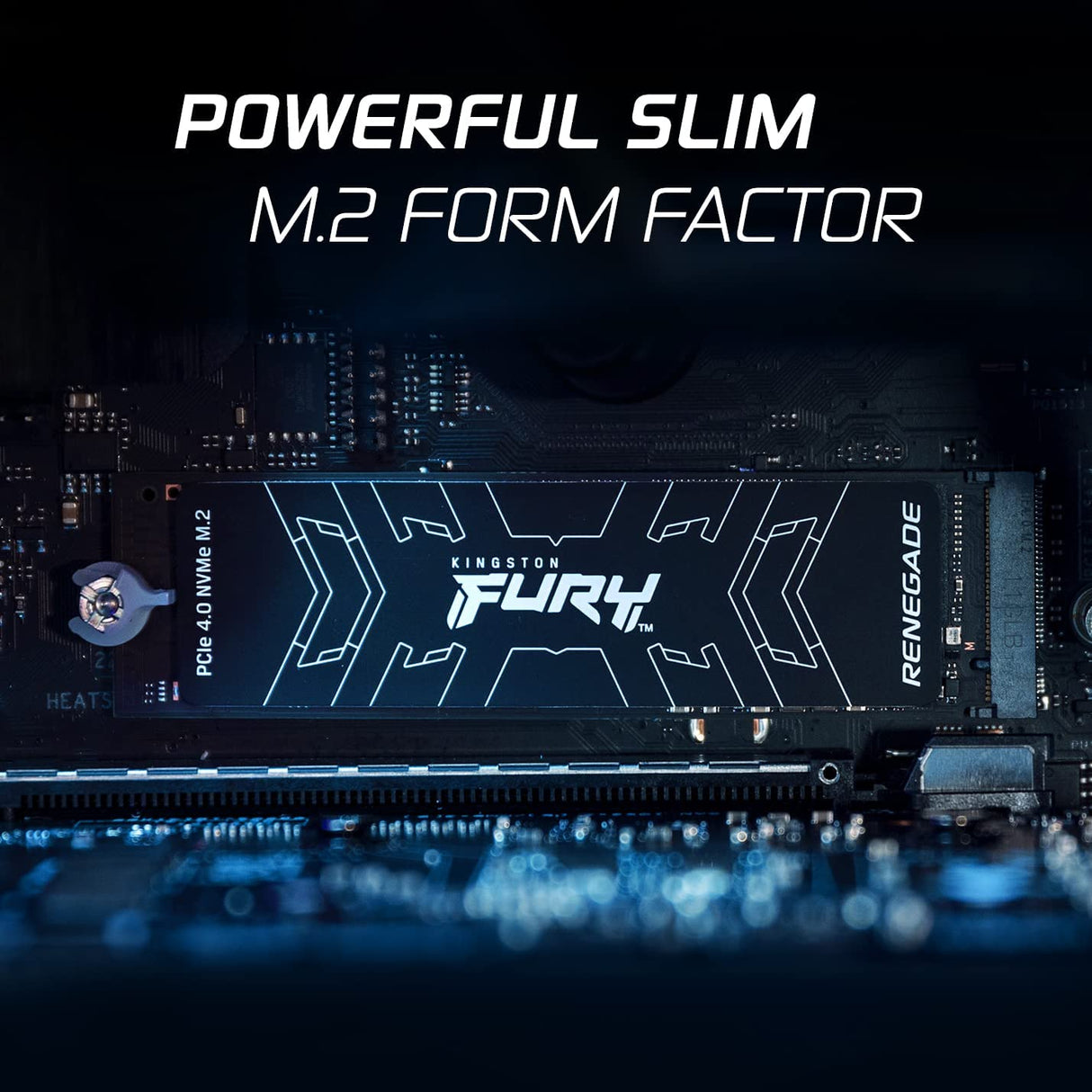 Nægte pulver mus Kingston Fury Renegade 1TB PCIe Gen 4.0 NVMe M.2 Internal Gaming SSD | –  Dealtargets.com