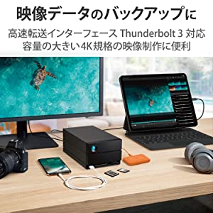 Seagate LaCie 2big Dock 40TB External HDD - Thunderbolt and USB4 Compatibility, Data Recovery (STLG40000400)