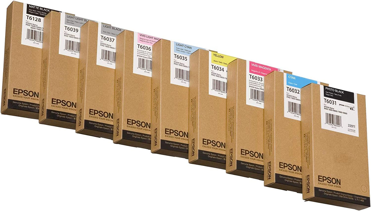 Epson UltraChrome K3 Ink Cartridge - 220ml Photo Black (T603100)