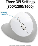 Kensington Pro Fit Ergo Wireless Mouse—Gray