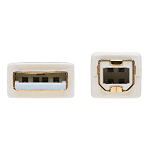 Tripp Lite, Safe-IT, USB-A to USB-B, USB 2.0, Male-to-Male Cable, PVC VW-1 Jacket, White, 10 Feet / 3.05 Meters, Limited Life Manufacturer's Warranty (U022AB-010-WH) USB-A to USB-B 10 Feet / 3.05 Meters